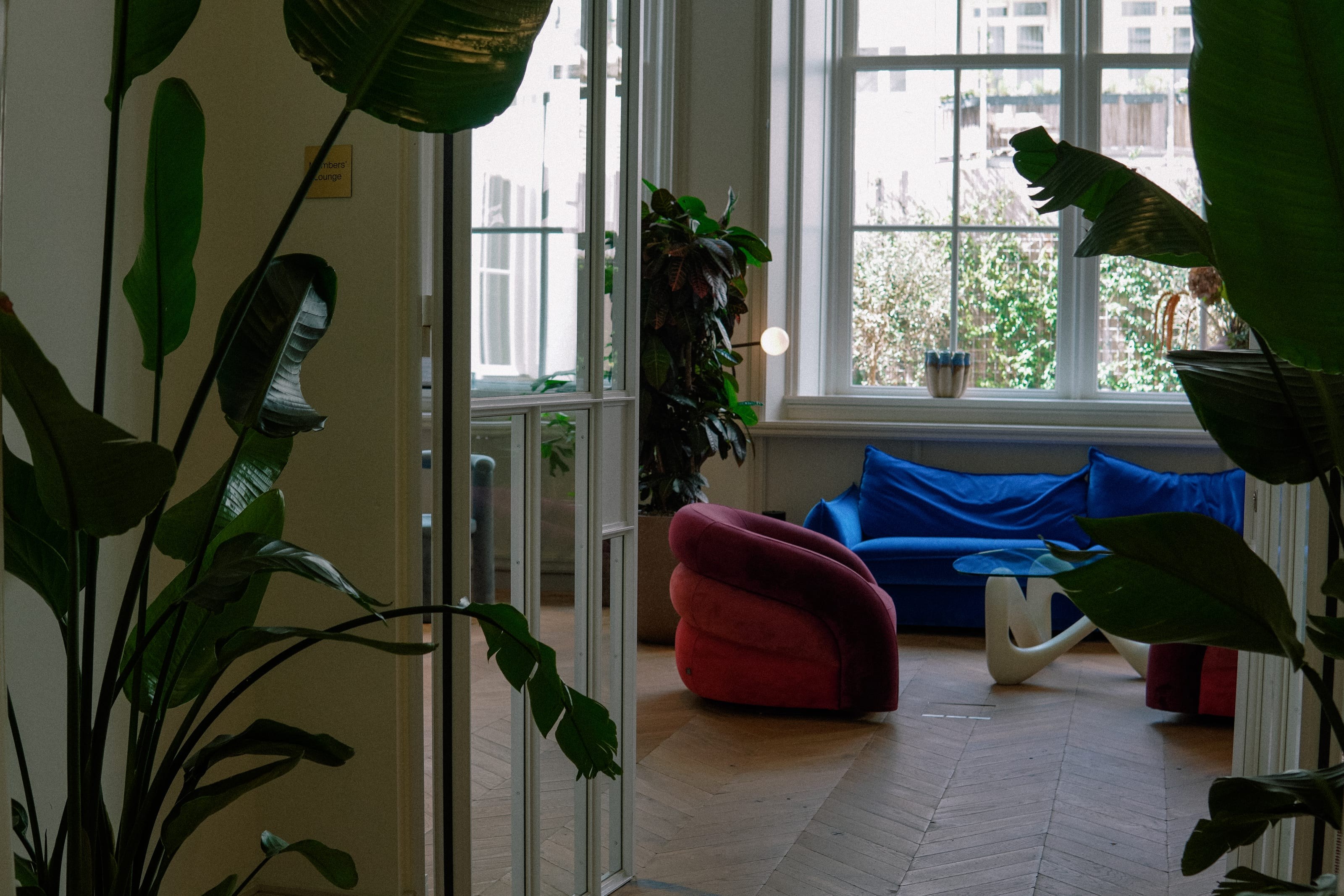 A lounge seen through a glass partition: a blue sofa, a red armchair and plants by a tall window.